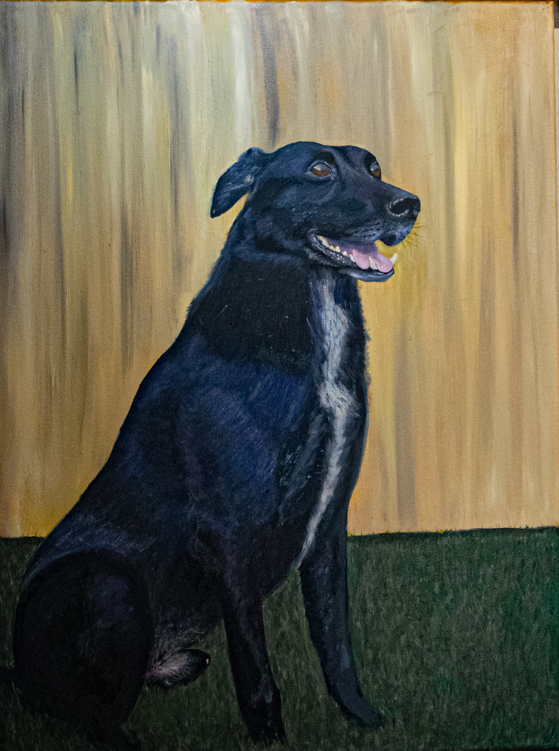 Onyx